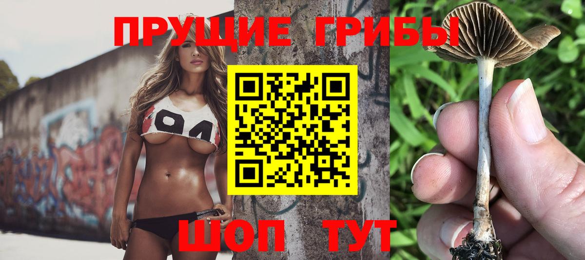 наркошоп  Вход с VPN  Лысьва  Псилоцибиновые грибы Cubensis 